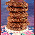 Fiiorentini - Gluten Free Chocolate Cookies