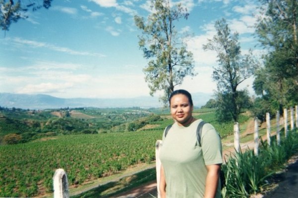 Coffee Plantation, Costa Rica, #TravelTuesday