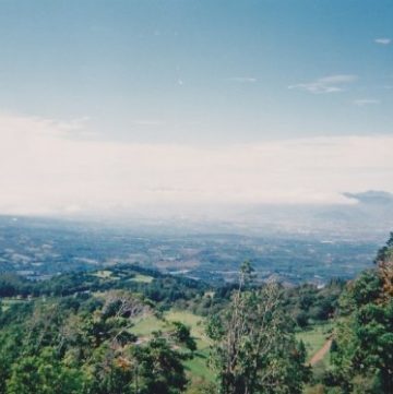 Costa Rica Coffee Plantation