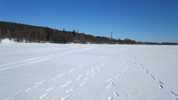 Finland, Frozen Lake