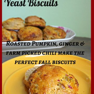 Yeast Biscuits, Pumpkin Biscuits