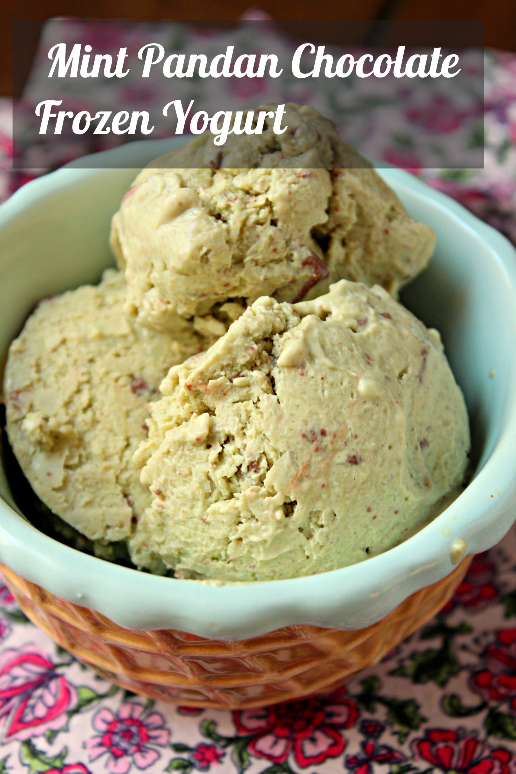 Mint Pandan Chocolate Frozen Yogurt Global Kitchen Travels