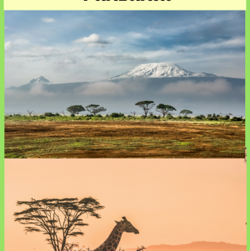 The Top 4 Things to do in Tanzania