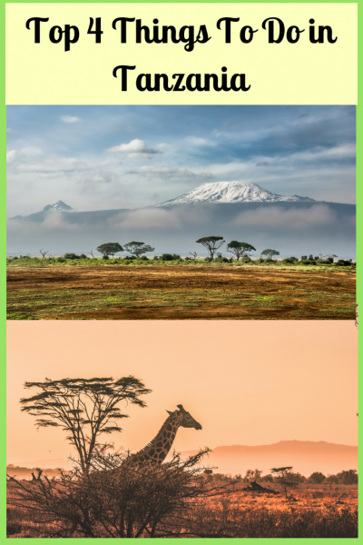 The Top 4 Things to do in Tanzania