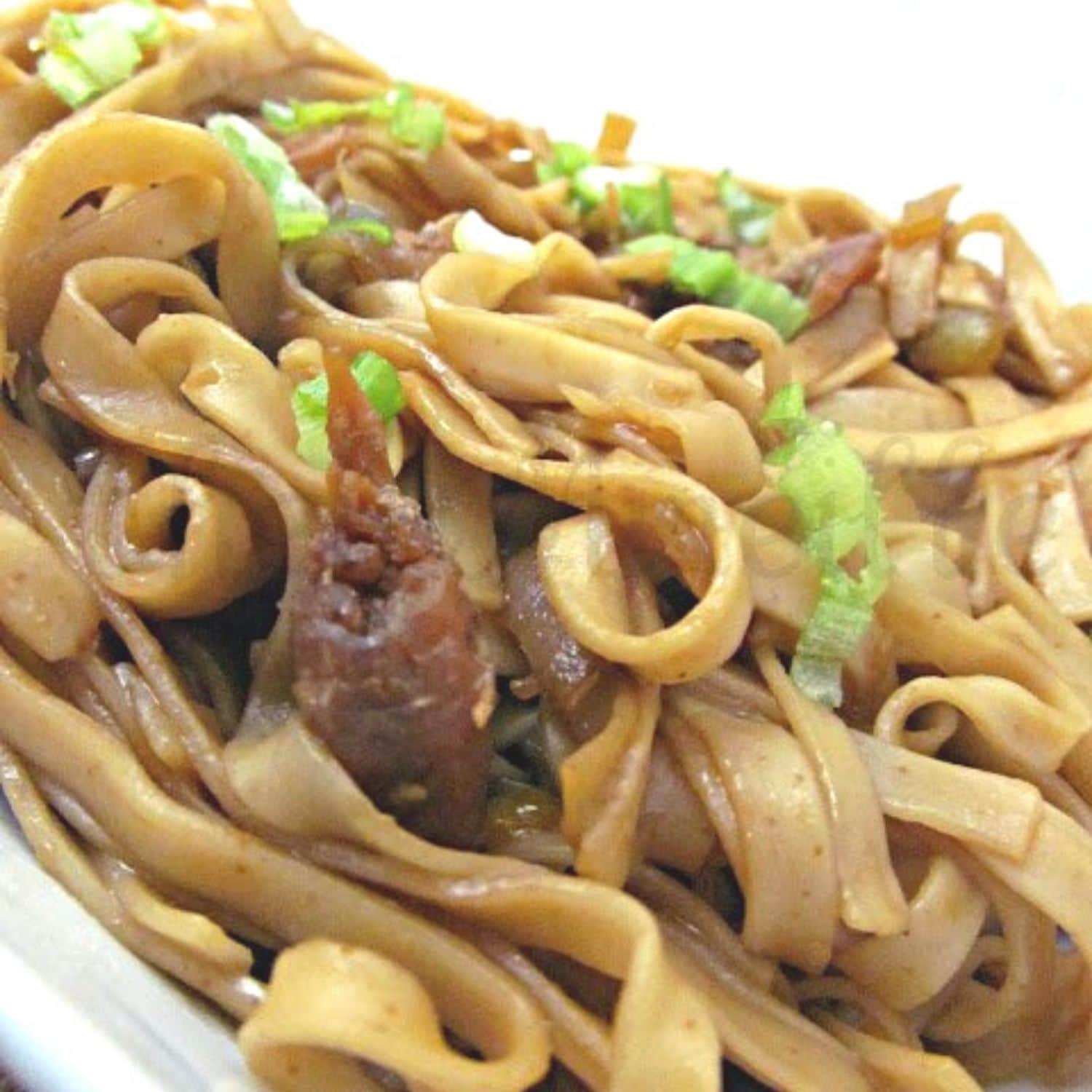 Stir Fried Noodles