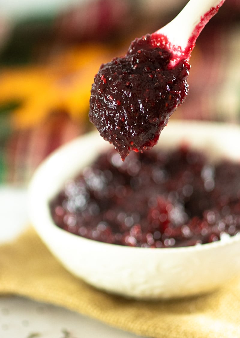 Homemade Cranberry Sauce on a spoon 