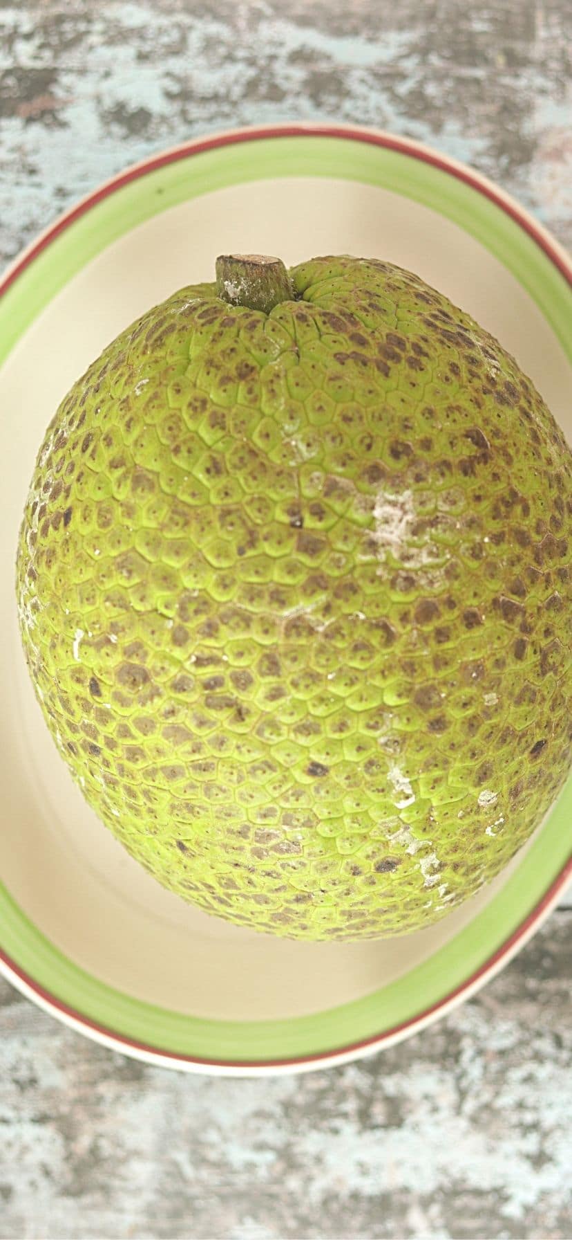 whole breadfruit on a plate