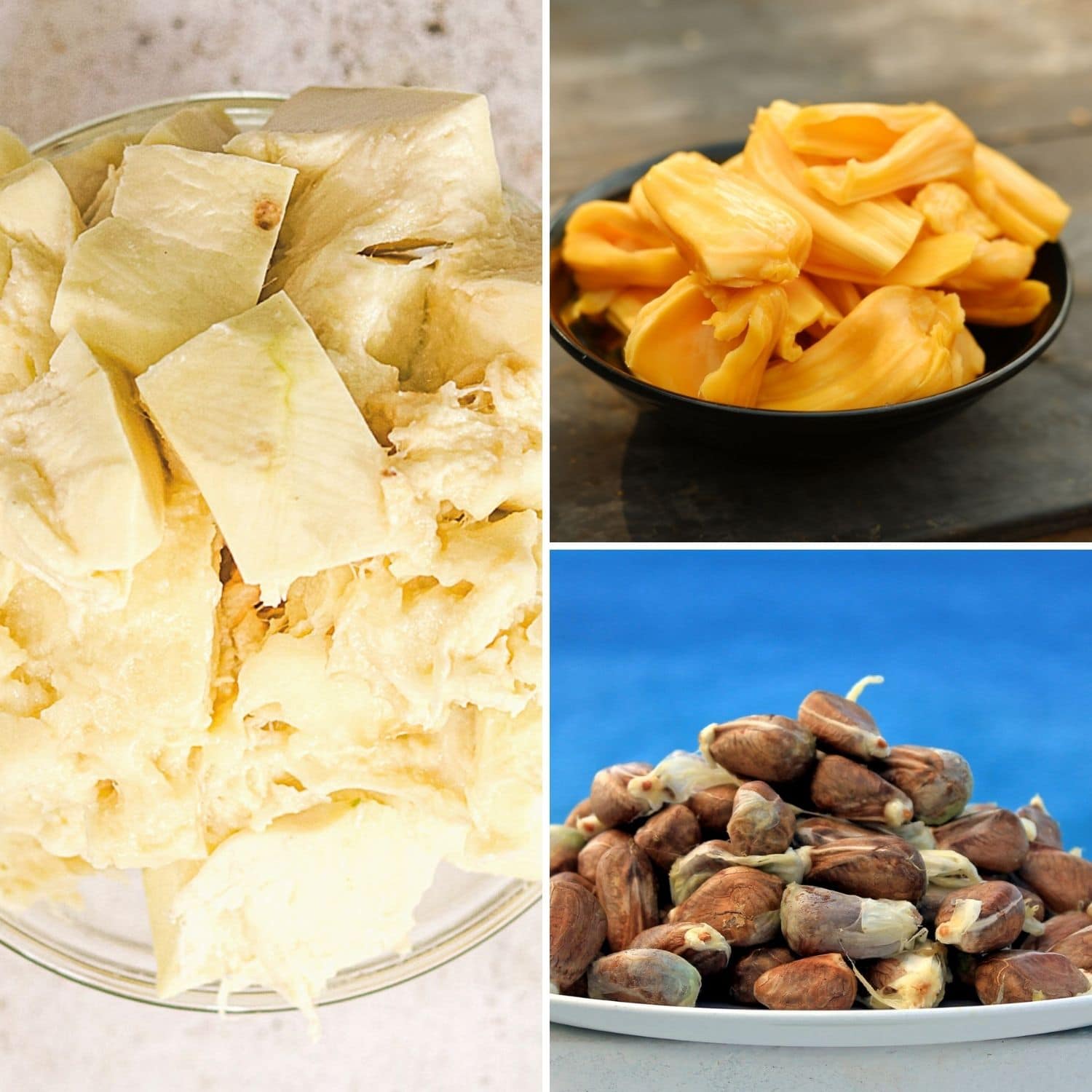 photo collage of breadfruit, jackfruit and breadnut