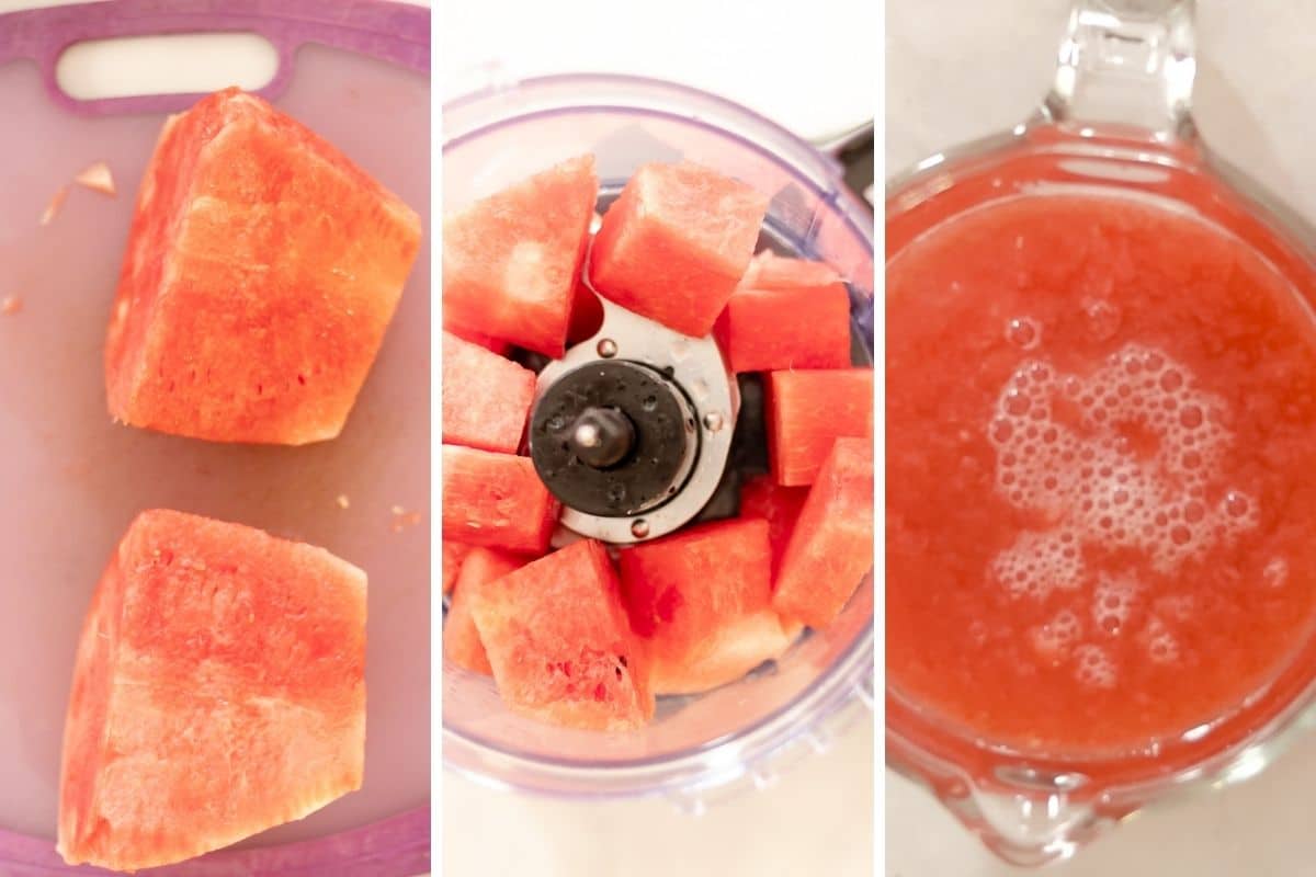 pureed watermelon in food processor