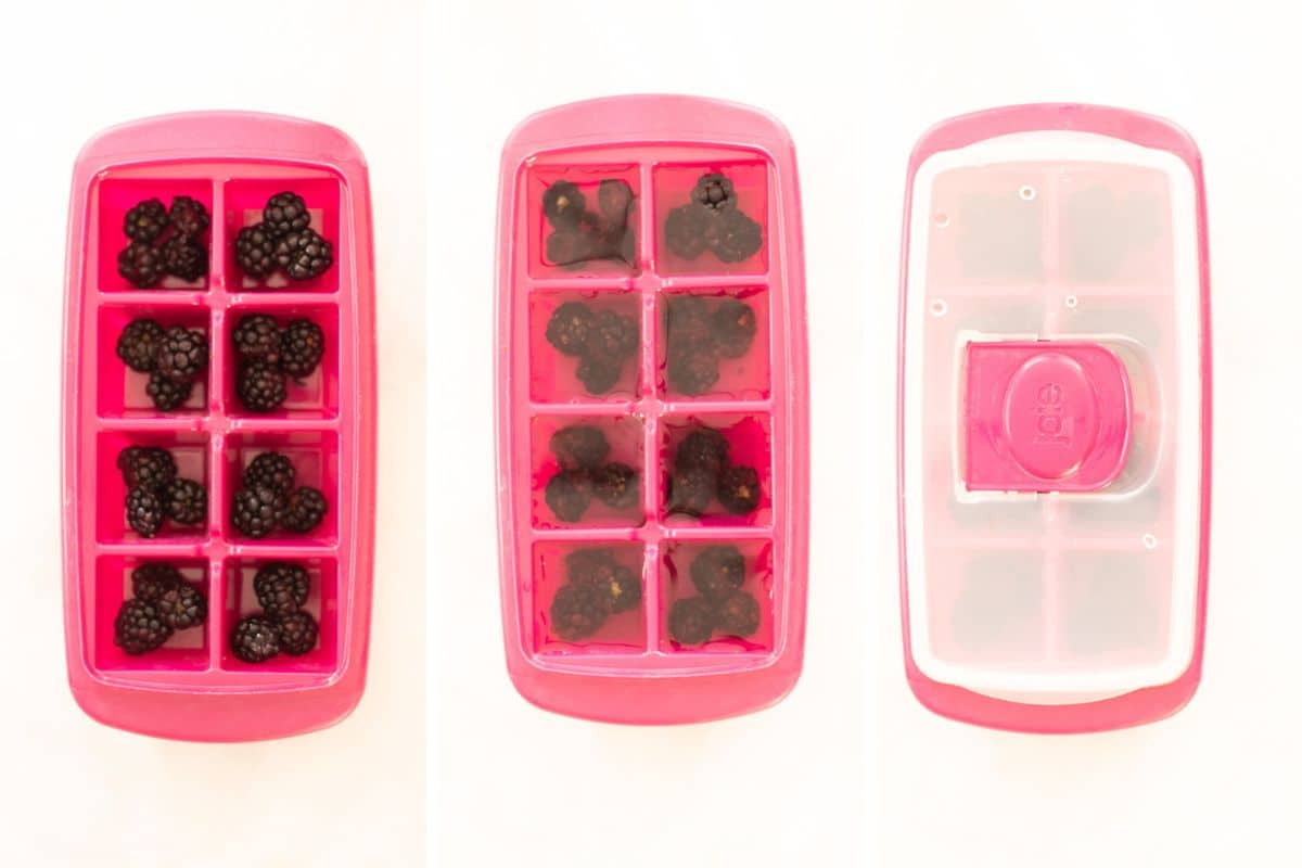 ice cube trays with blackberries
