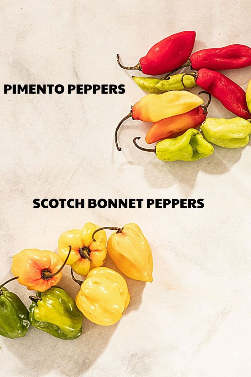 pimento peppers and scotch bonnet peppers with labels
