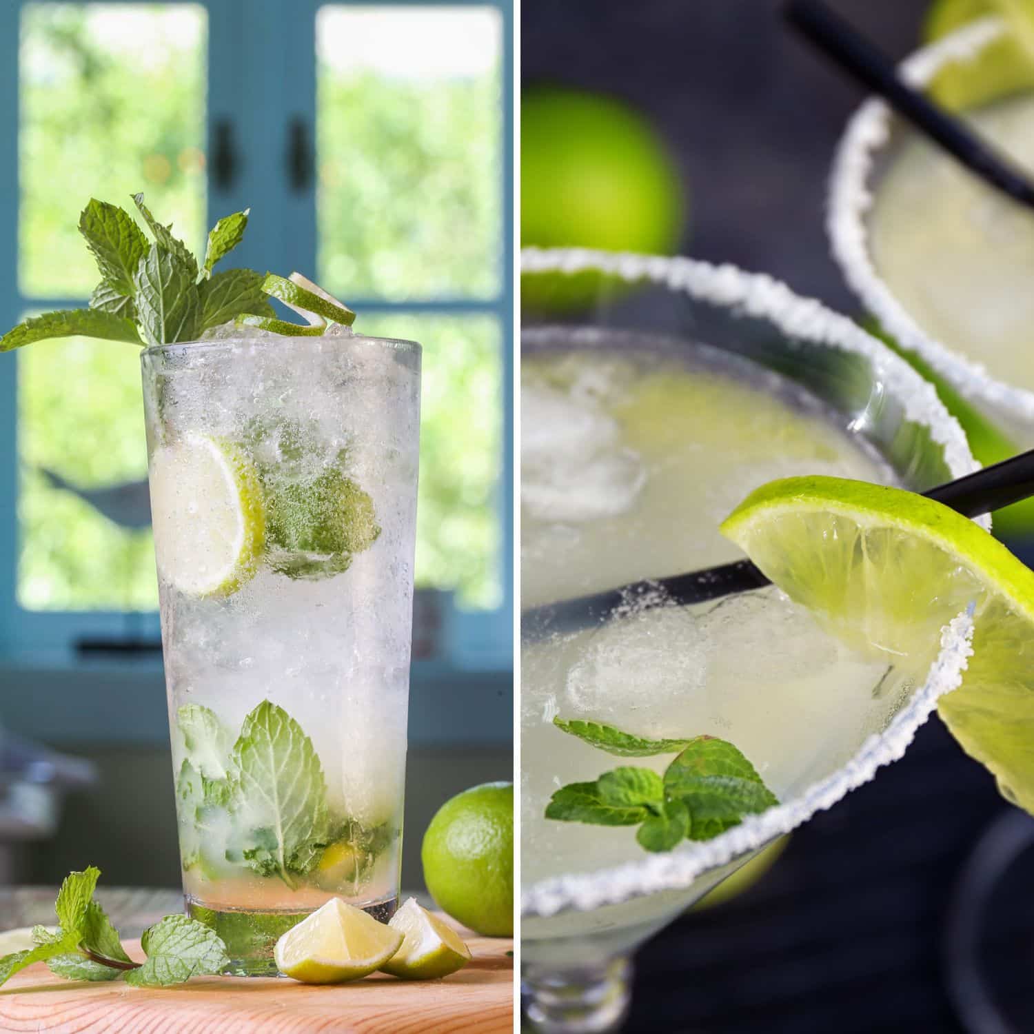 Mojito vs Margarita