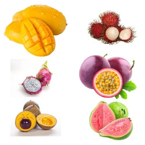 Ecuadorian Come Y Bebe : Best Ever Tropical Fruit Salad - Global ...